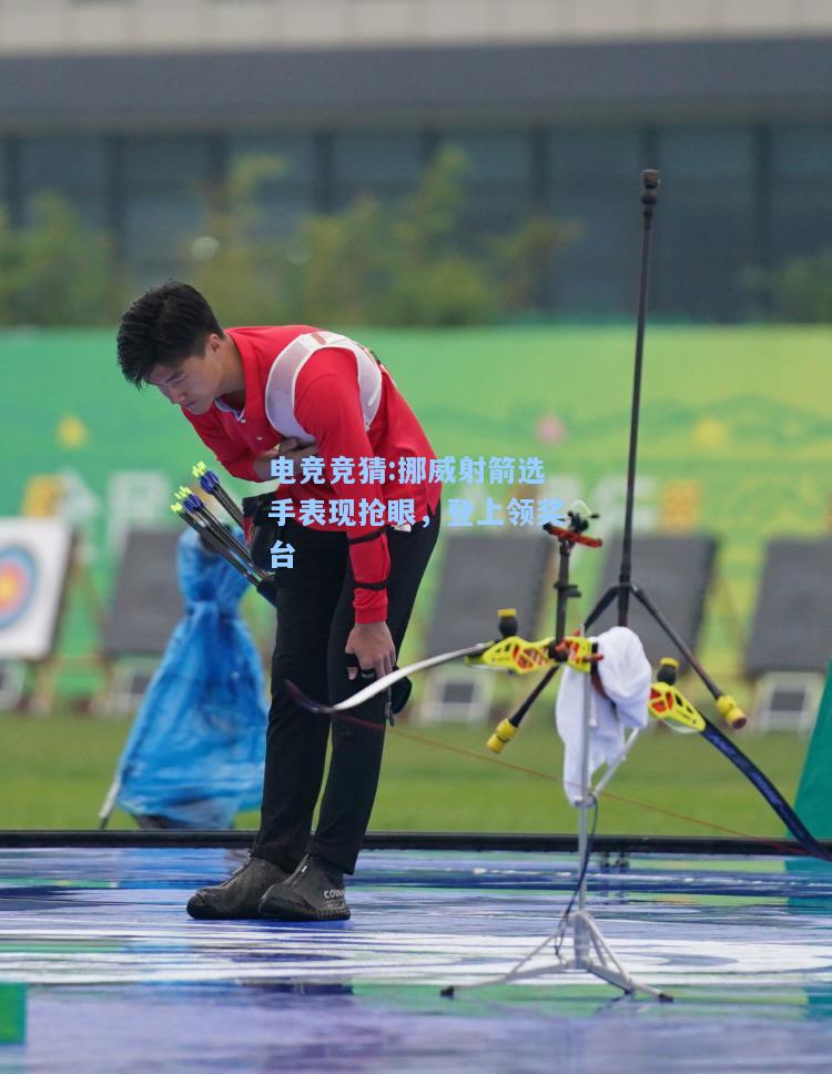 电竞竞猜:挪威射箭选手表现抢眼，登上领奖台